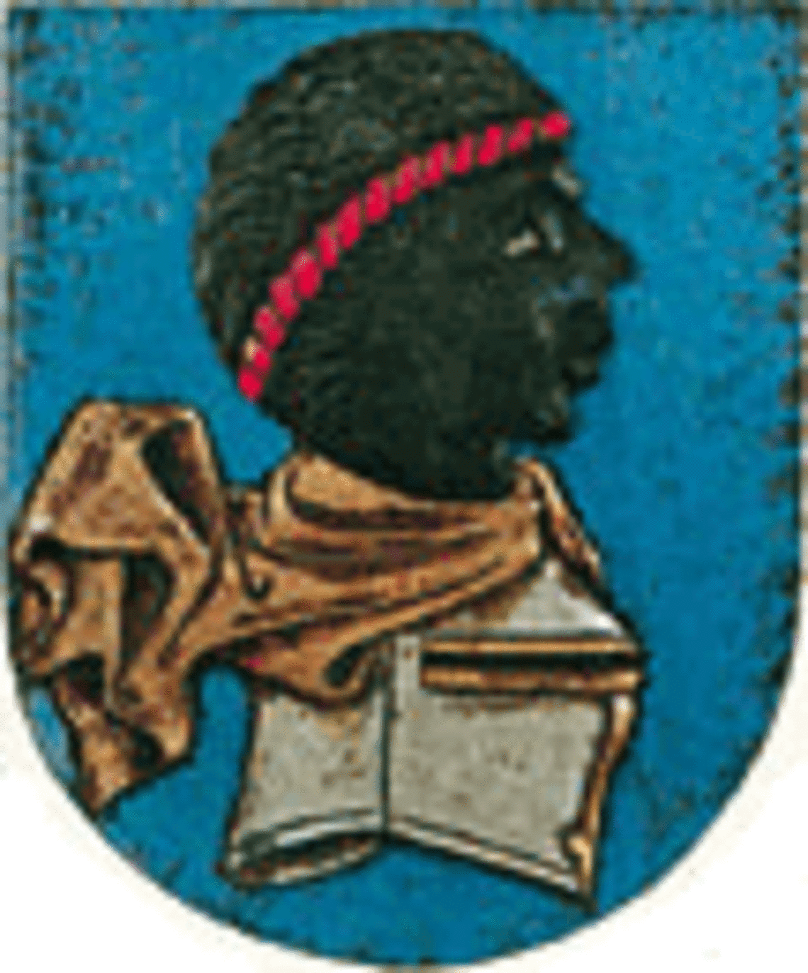 Der "Mohr" im Pappenheimer Wappen