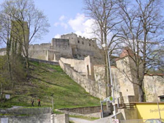 Ansicht der Burg Pappenheim