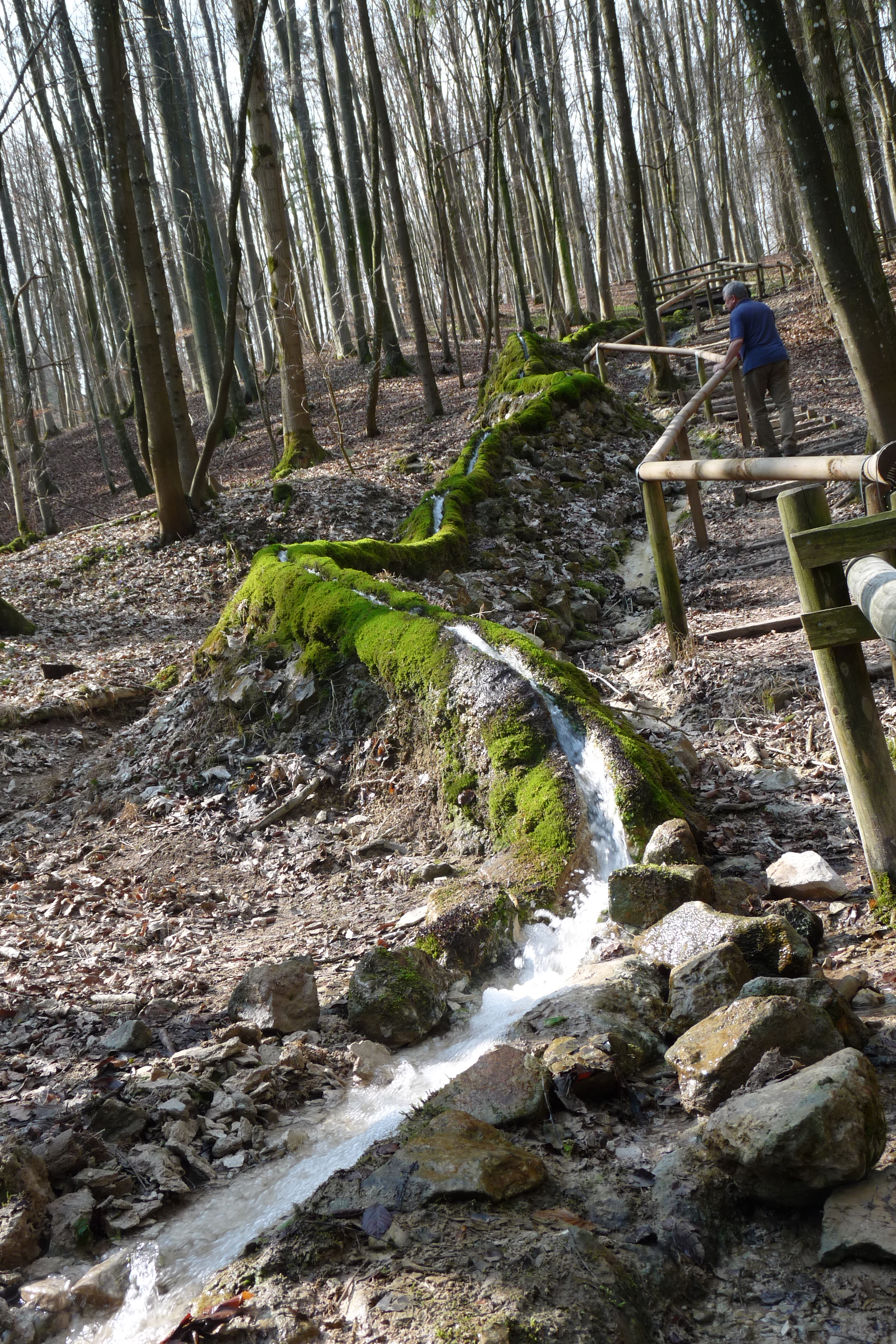 Stadt Pappenheim :: Steinerne Rinne